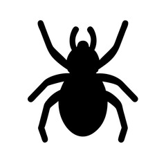 Spider: Intriguing Arachnids of Nature