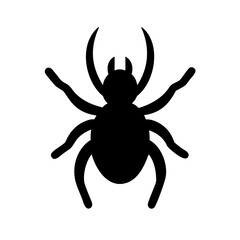 Spider: Intriguing Arachnids of Nature