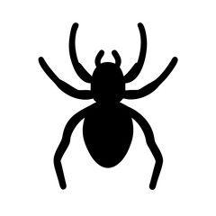 Spider: Intriguing Arachnids of Nature