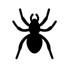 Spider: Intriguing Arachnids of Nature