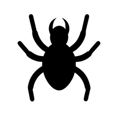 Spider: Intriguing Arachnids of Nature