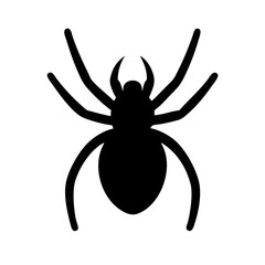 Spider: Intriguing Arachnids of Nature