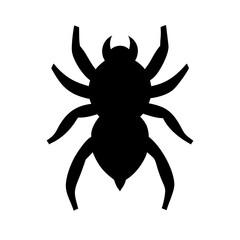 Spider: Intriguing Arachnids of Nature