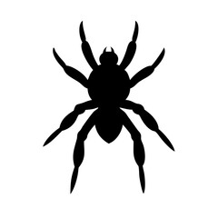 Spider: Intriguing Arachnids of Nature