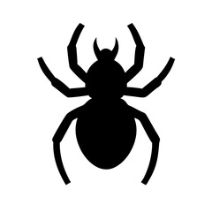 Spider: Intriguing Arachnids of Nature