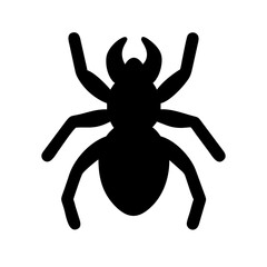 Spider: Intriguing Arachnids of Nature