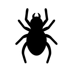 Spider: Intriguing Arachnids of Nature