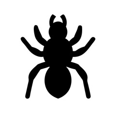 Spider: Intriguing Arachnids of Nature