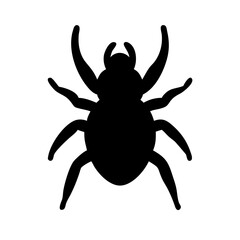 Spider: Intriguing Arachnids of Nature