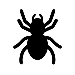 Spider: Intriguing Arachnids of Nature