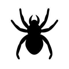 Spider: Intriguing Arachnids of Nature