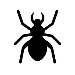 Obraz premium Spider: Intriguing Arachnids of Nature