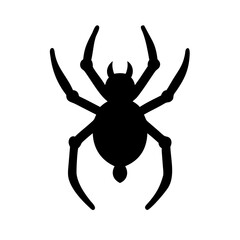 Spider: Intriguing Arachnids of Nature