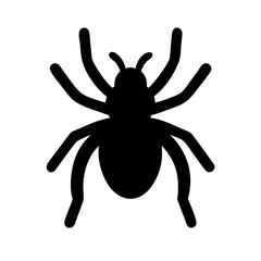 Spider: Intriguing Arachnids of Nature