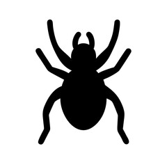 Spider: Intriguing Arachnids of Nature