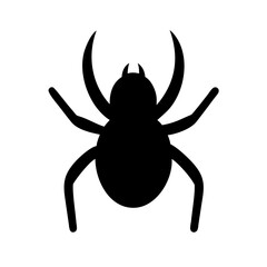 Spider: Intriguing Arachnids of Nature