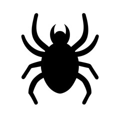 Spider: Intriguing Arachnids of Nature