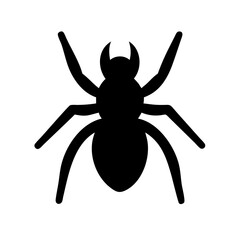 Spider: Intriguing Arachnids of Nature