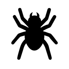 Spider: Intriguing Arachnids of Nature