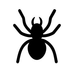 Spider: Intriguing Arachnids of Nature