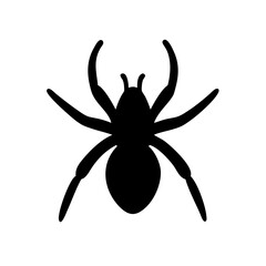 Spider: Intriguing Arachnids of Nature