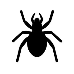 Spider: Intriguing Arachnids of Nature