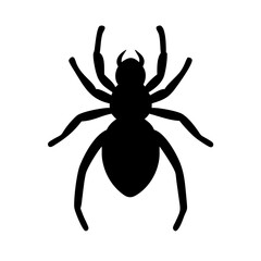 Spider: Intriguing Arachnids of Nature