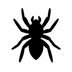 Spider: Intriguing Arachnids of Nature