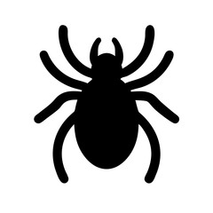 Spider: Intriguing Arachnids of Nature