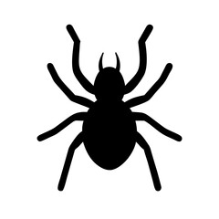 Spider: Intriguing Arachnids of Nature