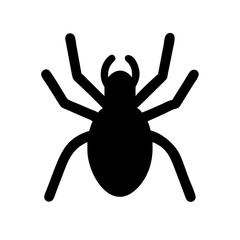 Spider: Intriguing Arachnids of Nature