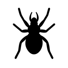 Spider: Intriguing Arachnids of Nature