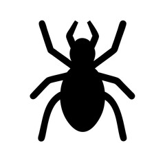 Spider: Intriguing Arachnids of Nature