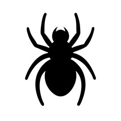 Spider: Intriguing Arachnids of Nature