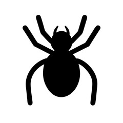 Spider: Intriguing Arachnids of Nature