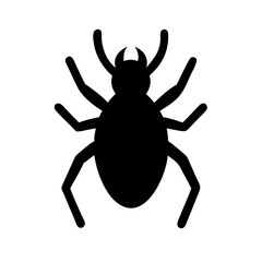 Spider: Intriguing Arachnids of Nature