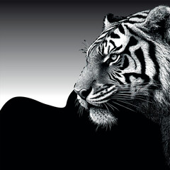 farm animals collection vector