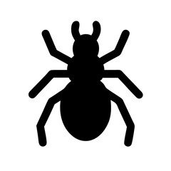 Spider: Intriguing Arachnids of Nature