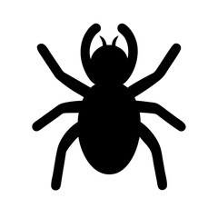 Spider: Intriguing Arachnids of Nature