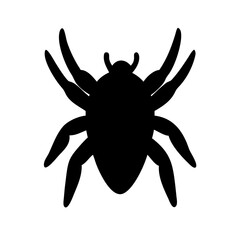 Spider: Intriguing Arachnids of Nature