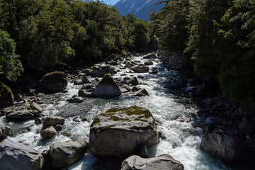 Scenic River Flowing Through Lush Forest