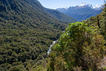 Lush Green Valley with River and Snow-Capped Mountains