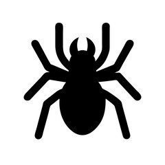 Obraz premium Spider: Intriguing Arachnids of Nature