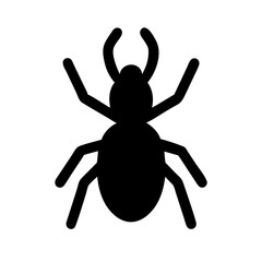 Spider: Intriguing Arachnids of Nature