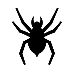 Spider: Intriguing Arachnids of Nature