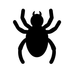 Spider: Intriguing Arachnids of Nature