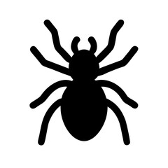 Spider: Intriguing Arachnids of Nature