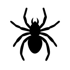 Spider: Intriguing Arachnids of Nature