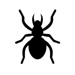 Spider: Intriguing Arachnids of Nature