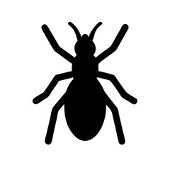 Spider: Intriguing Arachnids of Nature